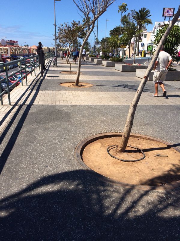 LOS EMPRESARIOS DE PLAYA LAS AMERICAS DENUNCIAN LA “CHAPUZA” DEL PLAN DE EXCELENCIA